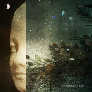 国产精品va免费视频
