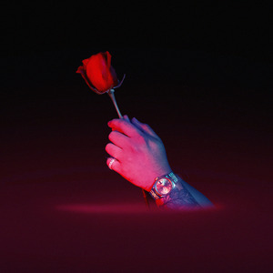 国产精品va免费视频
