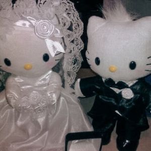 国产精品va免费视频
