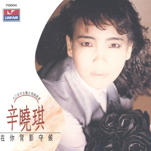 国产精品va免费视频
