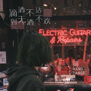 国产精品va免费视频
