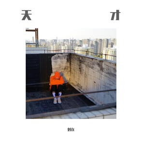 国产精品va免费视频
