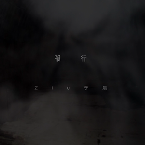 国产精品va免费视频
