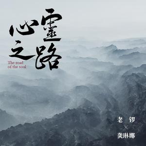 国产精品va免费视频
