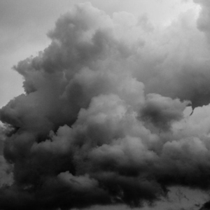 国产精品va免费视频
